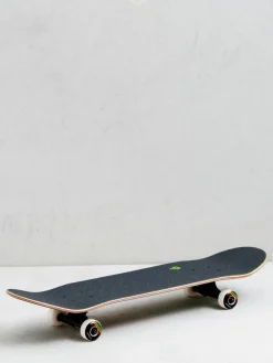 Birdhouse Sunset Skateboard