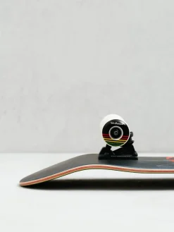 Birdhouse Sunset Skateboard