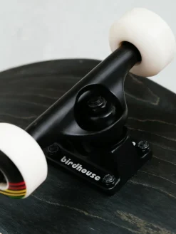 Birdhouse Sunset Skateboard