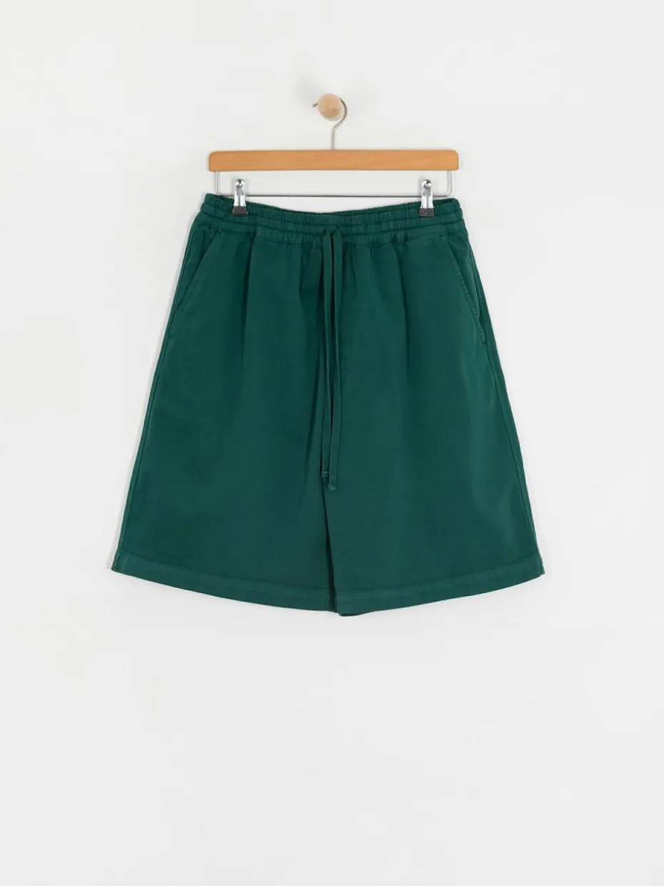 Carhartt WIP Floyde Shorts