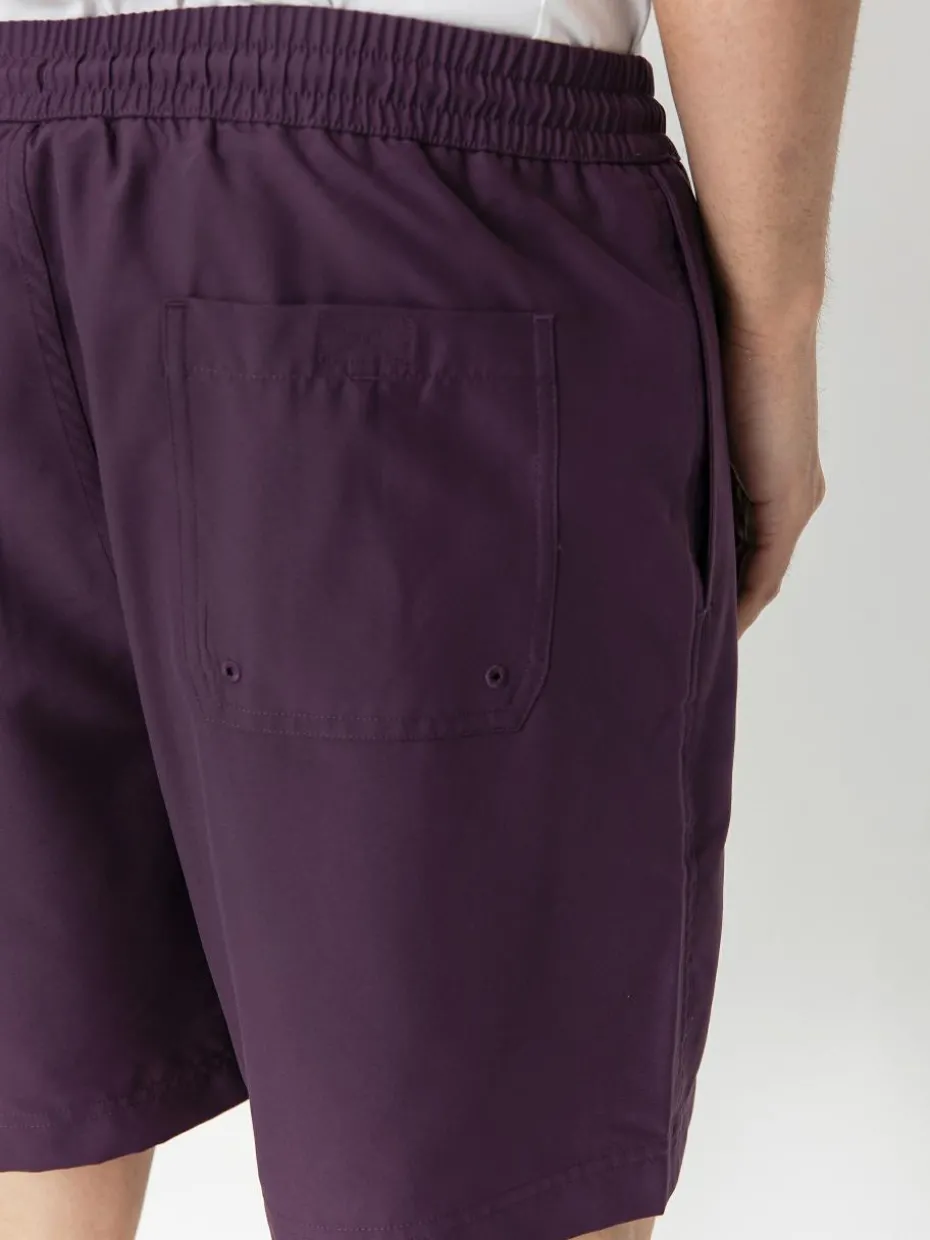 Carhartt WIP Shorts Chase Swim