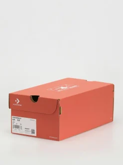 Converse Chuck 70 Hi Chucks