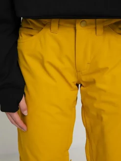 Damen Roxy Backyard Snowboardhose