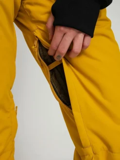 Damen Roxy Backyard Snowboardhose