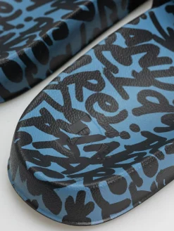 DC Slide Se Flip Flops