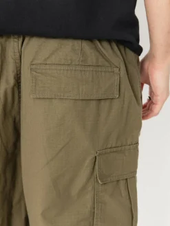 DC Tundra Cargo Shorts