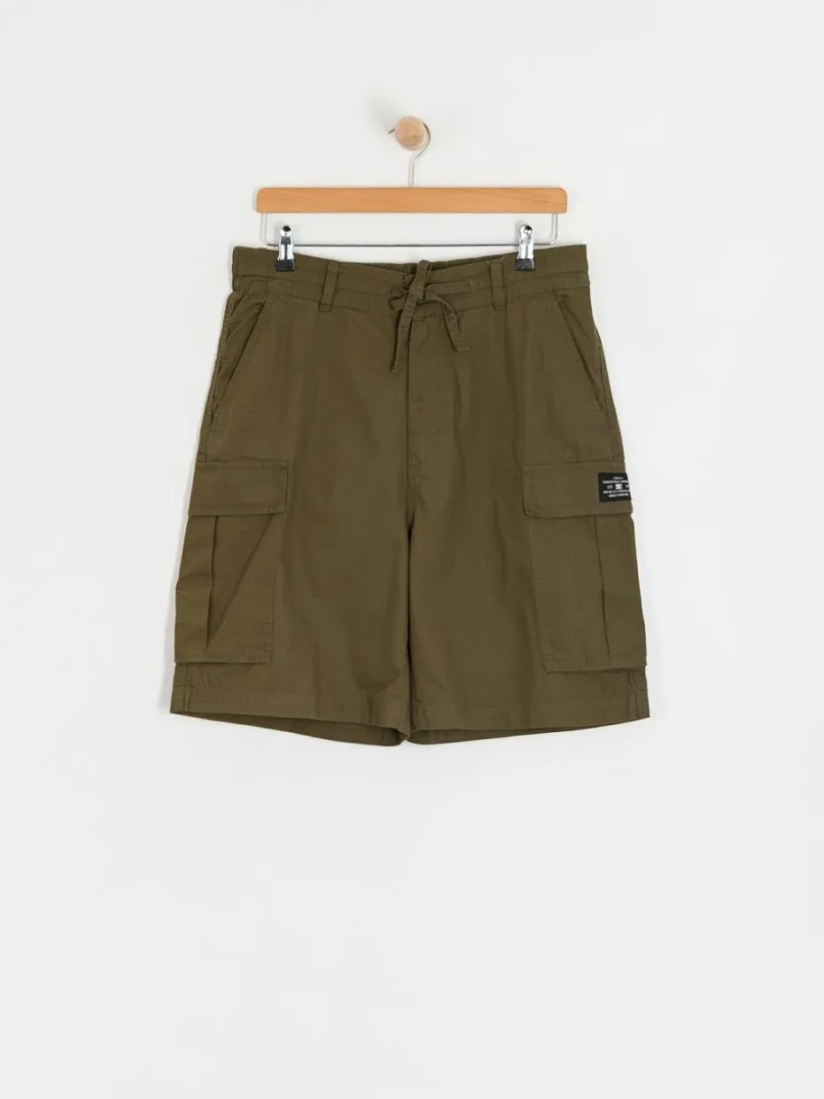 DC Tundra Cargo Shorts