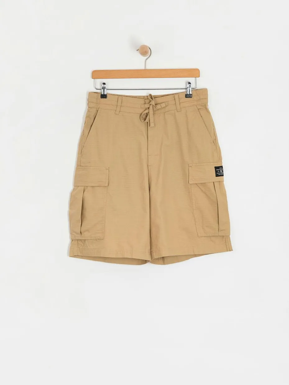DC Tundra Cargo Shorts