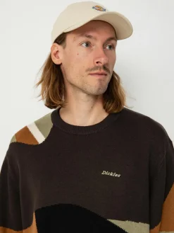 Dickies Camo Pulli