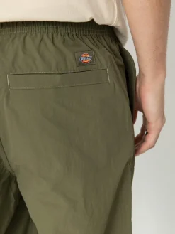 Dickies Hose Jackson Cargo