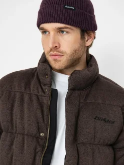Dickies Jacke Baker Puffer