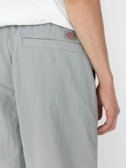 Dickies Jackson Cargo Hose