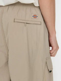 Dickies Shorts Jackson Cargo