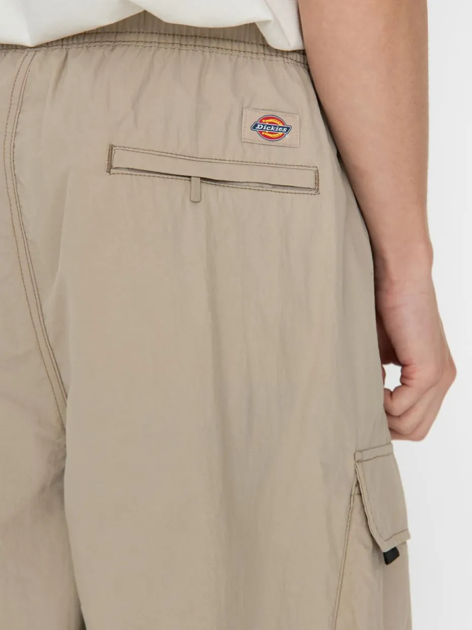 Dickies Shorts Jackson Cargo