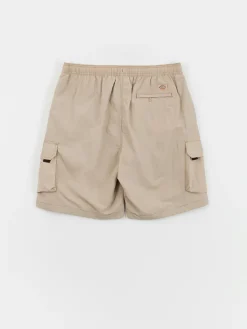 Dickies Shorts Jackson Cargo