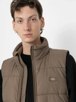 Dickies Waldenburg Weste