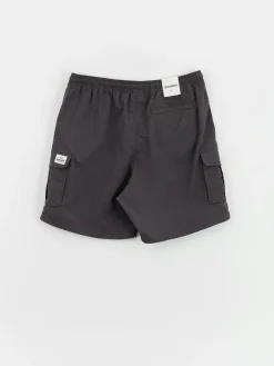 Element Chillin Cargo Hybrid Shorts
