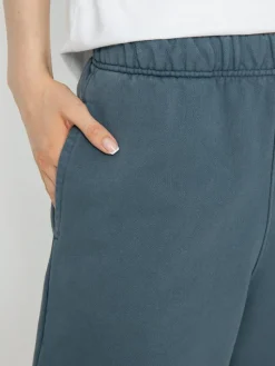 Element Cornell 3.0 Shorts