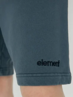 Element Cornell 3.0 Shorts