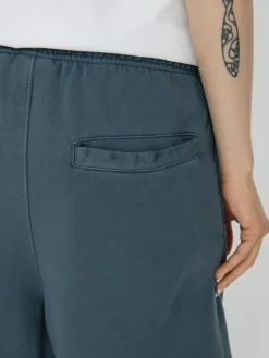 Element Cornell 3.0 Shorts