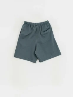 Element Cornell 3.0 Shorts