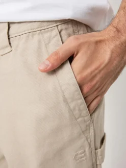 Etnies Wallride Hose