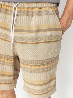 Iriedaily Vintachi Shorts