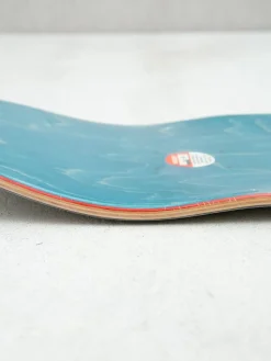 Krooked Knox Ocean Animals Deck