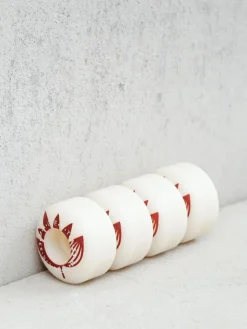 Magenta Plant Power Rollen