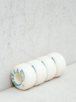 Magenta Plant Power Rollen