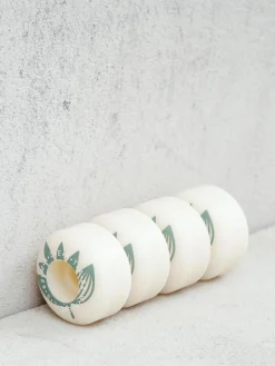 Magenta Plant Power Rollen