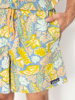 Patagonia Shorts Baggies Shorts 5in