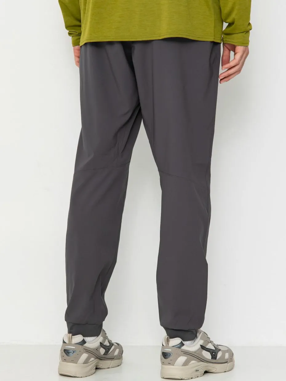 Patagonia Terrebonne Joggers Hose