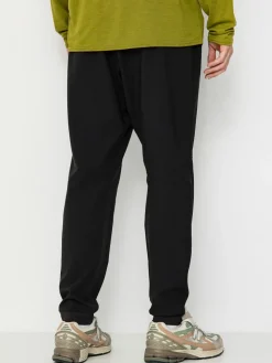 Patagonia Terrebonne Joggers Hose