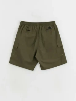 Polar Skate Utility Swim Shorts