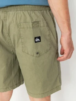 Quiksilver Taxer Ws Shorts