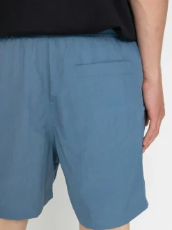 Santa Cruz Classic Dot Shorts