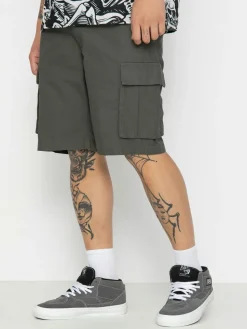 Santa Cruz Gauntlet Shorts