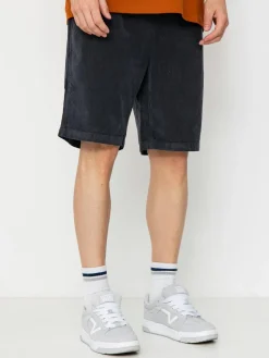 Santa Cruz Shorts Chill