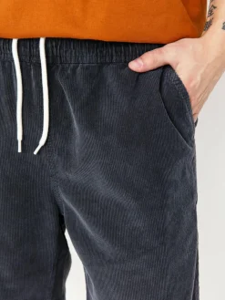 Santa Cruz Shorts Chill