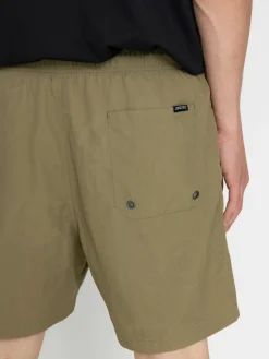Santa Cruz Shorts Roskopp Evo 2