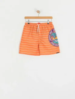 Santa Cruz Youth Paradise Break JR Shorts