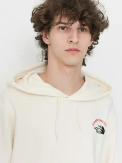 The North Face Expedition System Graphic HD Hoodie