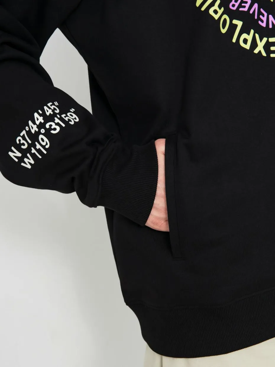 The North Face Nse Graphic HD Hoodie