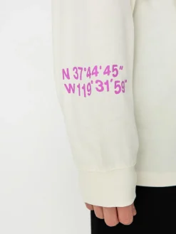 The North Face Nse Graphic Longsleeve