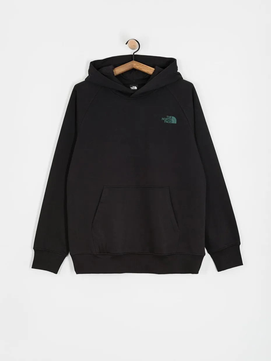 The North Face Raglan Box Nse Tailgrid Infill HD Hoodie