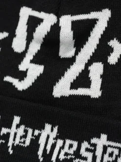 ThirtyTwo Mütze Steel