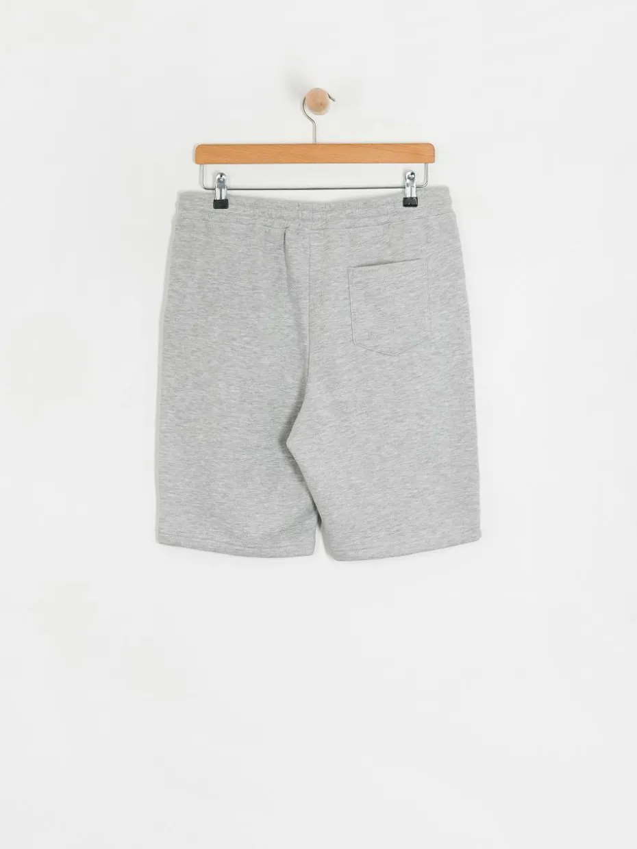 Thrasher Mag Logo P E Shorts