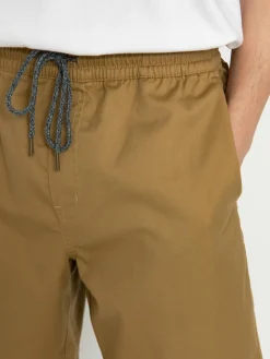 Volcom Frickin Ew 19 Shorts