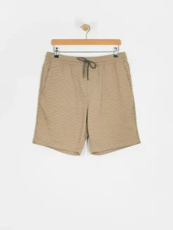 Volcom Frickin Ew 19 Shorts